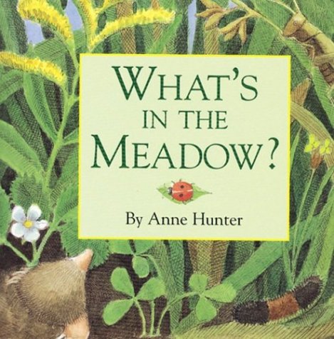 Book cover for What's in the Meadow?