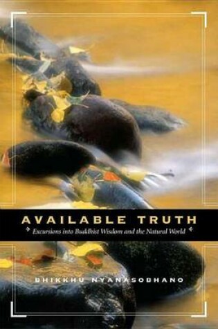 Cover of Available Truth