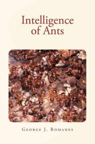 Cover of Intelligence of Ants