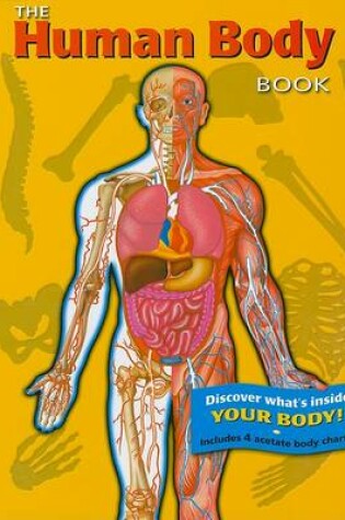 Cover of The Human Body Book