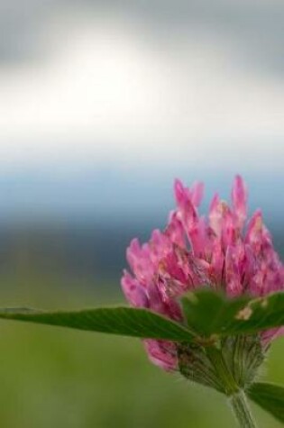 Cover of Red Clover Flower Journal