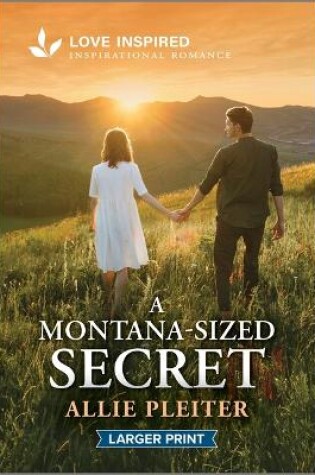 Cover of A Montana-Sized Secret