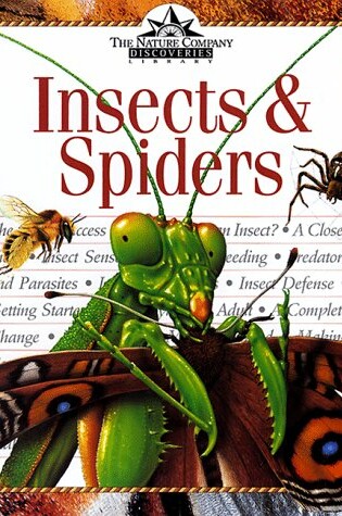 Cover of Insects & Spiders