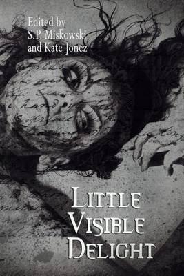Book cover for Little Visible Delight