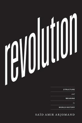 Book cover for Revolution