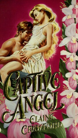 Book cover for Captive Angel