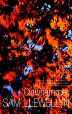 Book cover for Clawhammer