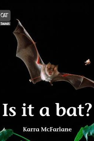 Cover of Is it a Bat?