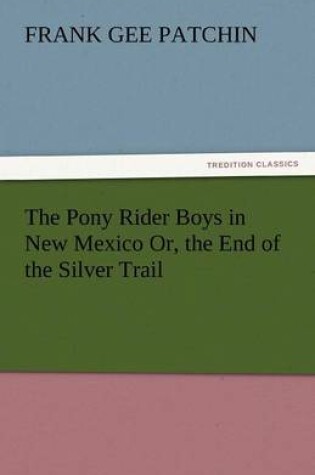 Cover of The Pony Rider Boys in New Mexico Or, the End of the Silver Trail