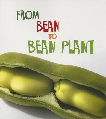 Book cover for From Bean to Bean Plant