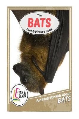 Book cover for The Bat Fact and Picture Book