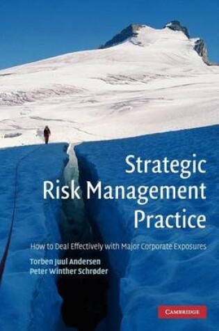 Cover of Strategic Risk Management Practice