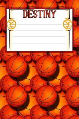 Cover of Basketball Life Destiny