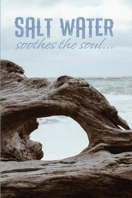 Book cover for Saltwater Soothes the Soul