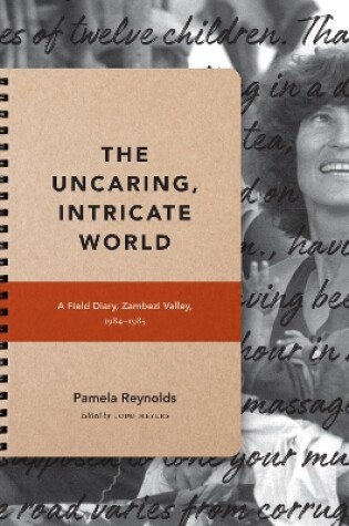 Cover of The Uncaring, Intricate World