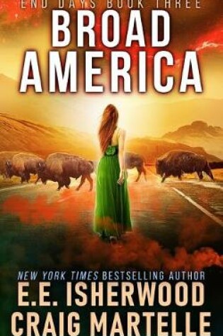 Cover of Broad America