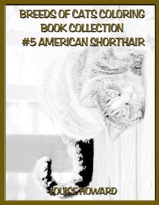 Cover of Breeds of Cats Coloring Book Collection #5 American Shorthair