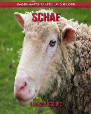 Book cover for Schaf