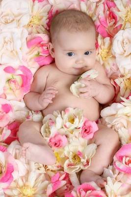 Book cover for Baby in a Bed of Pink and White Flowers