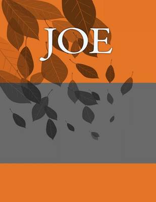 Book cover for Joe