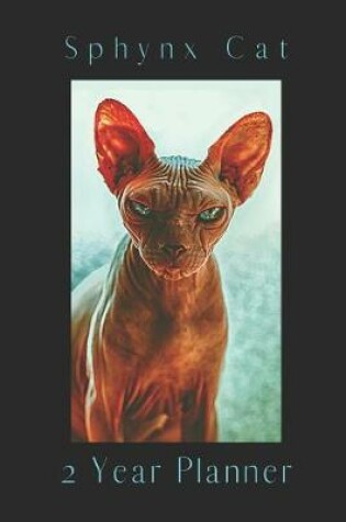 Cover of Sphynx Cat 2 Year Planner
