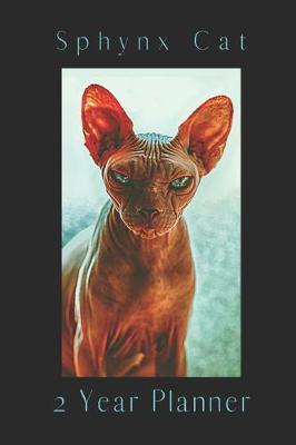 Book cover for Sphynx Cat 2 Year Planner