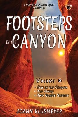 Book cover for Fire in the Canyon and the Diary