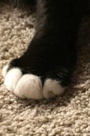 Cover of Cat Toes