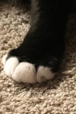 Book cover for Cat Toes