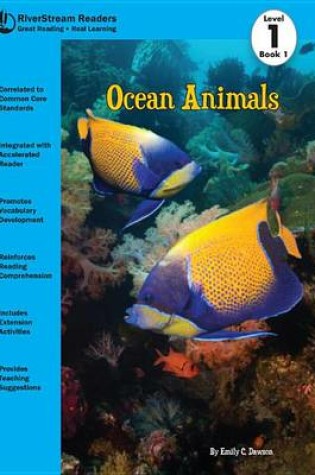 Cover of Ocean Animals