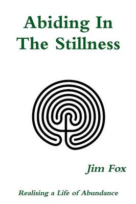 Book cover for Abiding in the Stillness