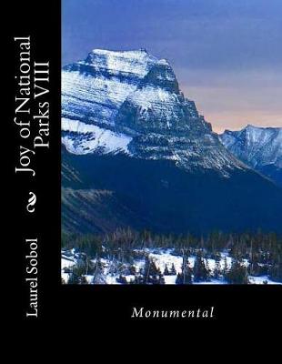 Book cover for Joy of National Parks VIII