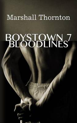 Book cover for Boystown 7