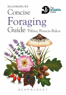 Book cover for Concise Foraging Guide