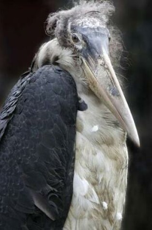 Cover of Marabou Stork Bird Portrait Journal