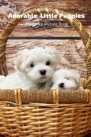 Cover of Adorable Little Puppies Full-Color Picture Book