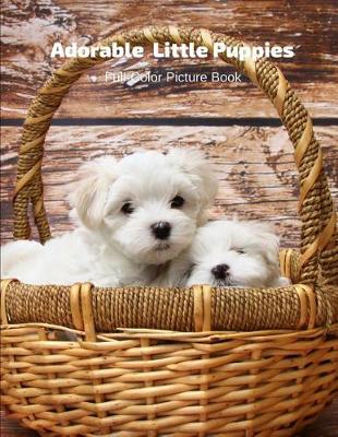 Book cover for Adorable Little Puppies Full-Color Picture Book