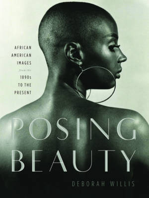 Book cover for Posing Beauty