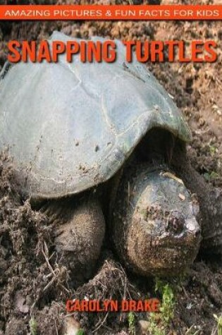 Cover of Snapping Turtles