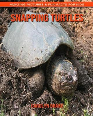 Book cover for Snapping Turtles