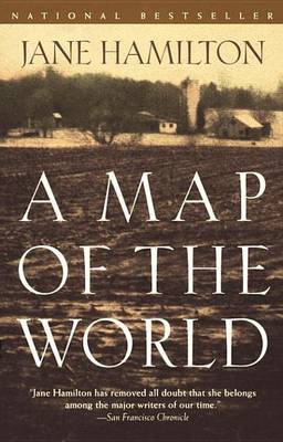Book cover for A Map of the World