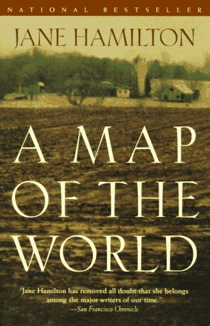 Book cover for A Map of the World