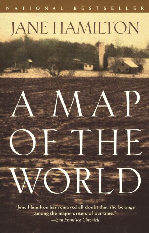 Book cover for A Map of the World