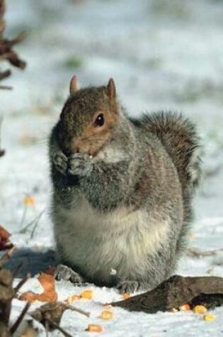 Cover of Journal Winter Grey Squirrel Gray