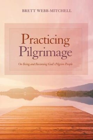 Cover of Practicing Pilgrimage