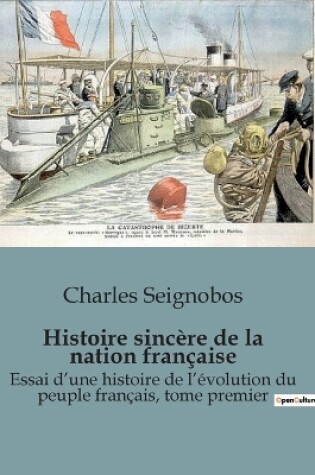 Cover of Histoire sinc�re de la nation fran�aise