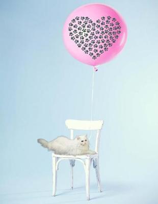 Book cover for Cat & Balloon