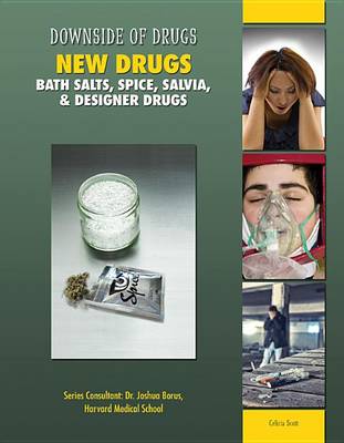 Book cover for New Drugs Bath Salts Spice Salvia and Designer Drugs