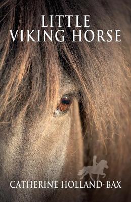 Book cover for Little Viking Horse