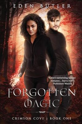 Cover of Forgotten Magic